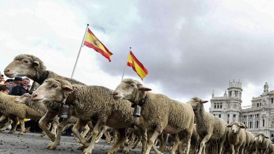 أين اختفى نصف مليون خروف اسباني و روماني مدعم في عيد الاضحى؟